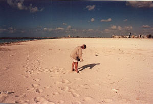 Caroline on the Beach in Abu Dhabi